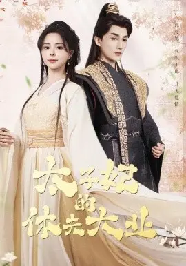 《太子妃的休夫大业》：穿越风云，休夫后宫，笑料百出！