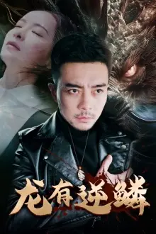 《龙有逆鳞》：一场关于守护与牺牲，扣人心弦的复仇传奇