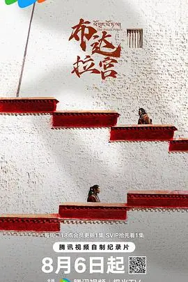 《布达拉宫》：信仰与艺术的殿堂，一段关于生命的朝圣之旅。