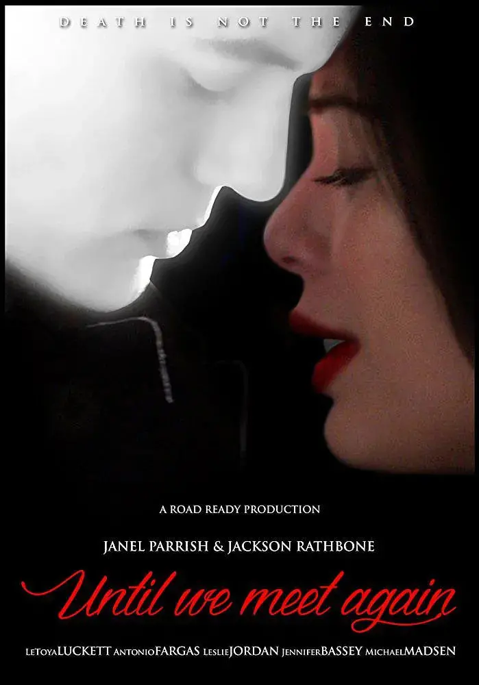 《重逢协奏曲》：一场跨越时空的音乐奇遇，揭开尘封往事与宝儿姐身世之谜