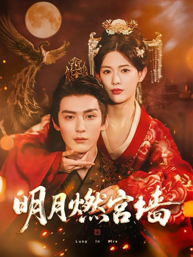 《明月燃宫墙》：一场穿越时空的宫廷爱恋，揭秘古代皇家奢华与饮食风情